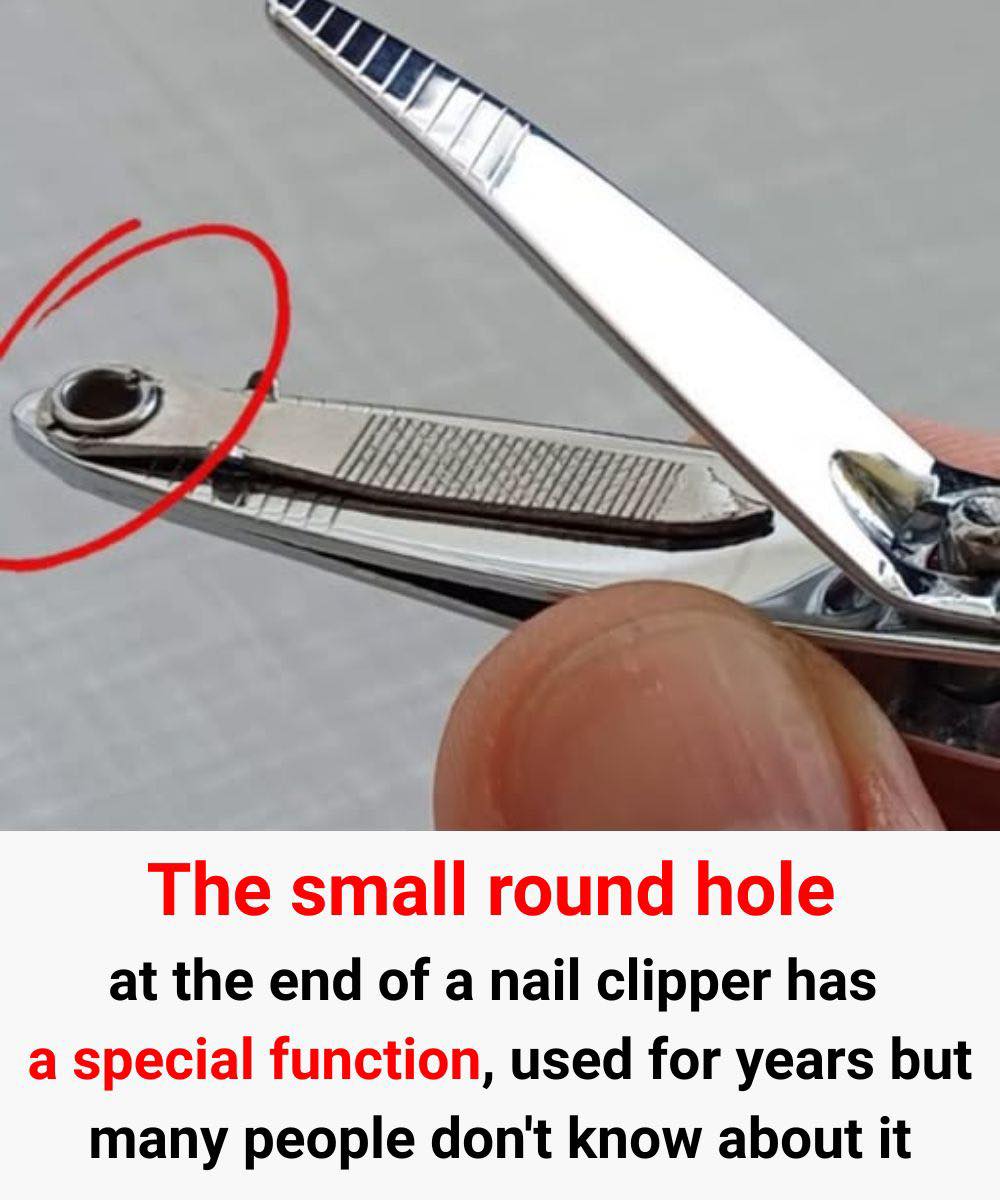 98% of People Don’t Know What the Hole in a Nail Clipper Is For