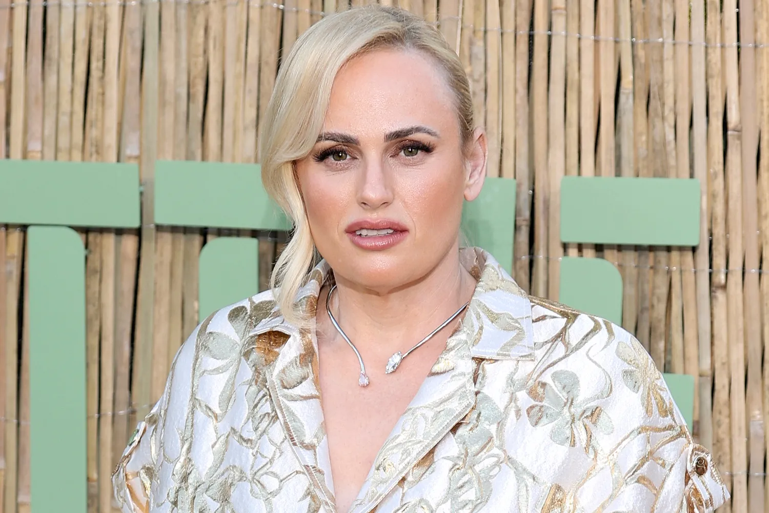 Rebel Wilson hit with legal notice accusing her of fabricating sexual misconduct claims involving a costar