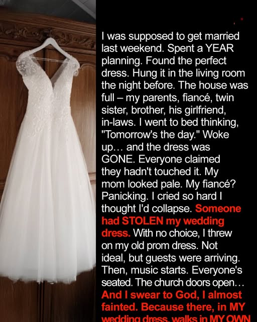 I Thought My Big Day Was Ruined… Until My Twin Sister Walked In