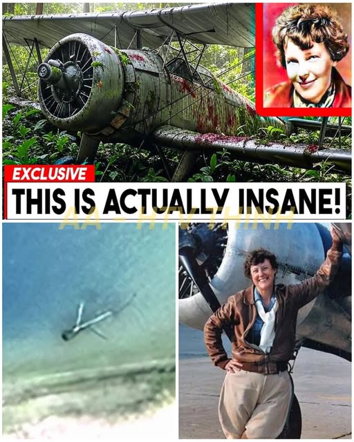 The Hidden Story of a Trailblazing Aviator’s Final Flight — A New Look at an Old Mystery