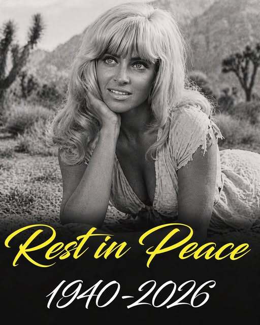 Actress Known for Memorable “Cool Hand Luke” Scene Passes Away at 87